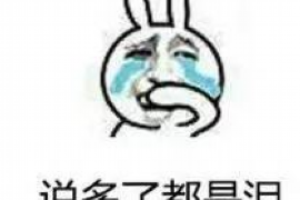 龙泉驿收债公司哪里找?——全方位解析债务回收服务 龙泉驿收债公司哪里找?——全方位解析债务回收服务